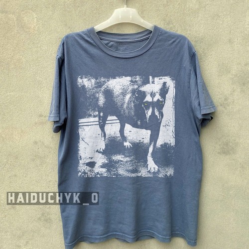 Alice chains tripod - tripod, dog